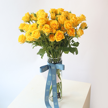 Yellow Roses Elegance