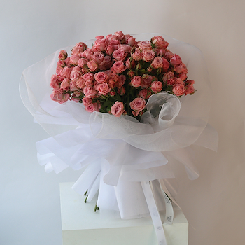 Pink Baby Rose Harmony