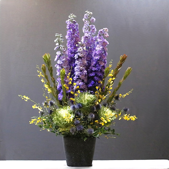 Blooming Purple