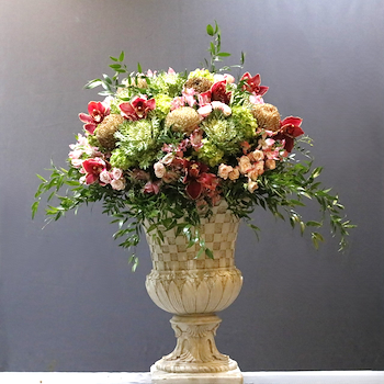  Colourful Bloom Stand