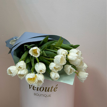White Tulips