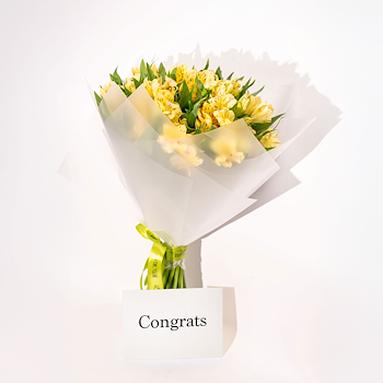 Yellow Alstroemeria