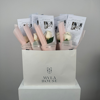 Newspaper Giveaways Bag
