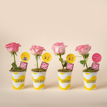 Teacher's Cup