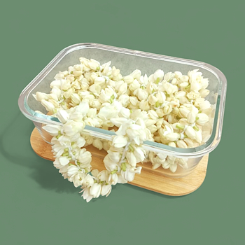 Jasmine 5 