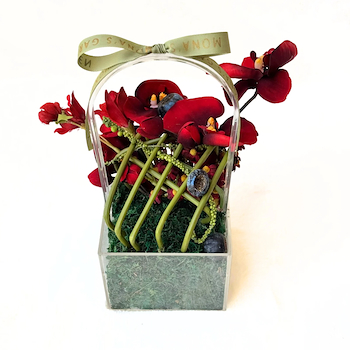 Orchid Gift