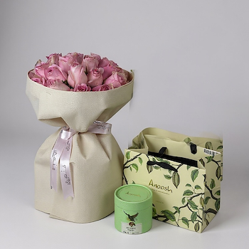 ايليميرا انوش