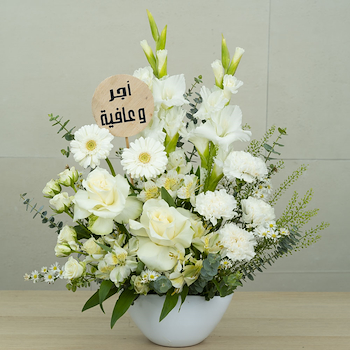 قولد 7