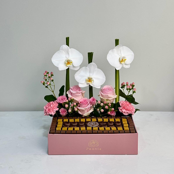 Flora Box 2