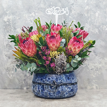 Magic Protea 2