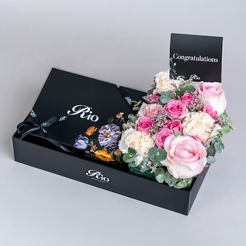 Tivoli Pink