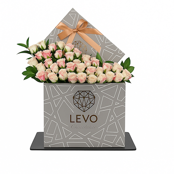 Levo Spacers