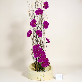 Violet