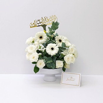 بلوم وايت 3
