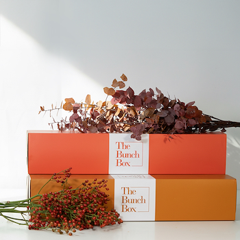 Autumn Berry & Branch