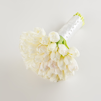 عروس الشتاء