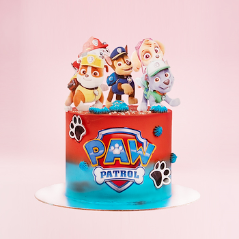 Paw Patrol Cake