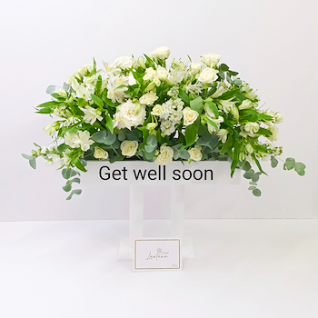 فلورا وايت 3