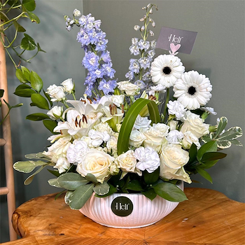 الغابة البيضاء