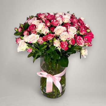 بلومينق بينك