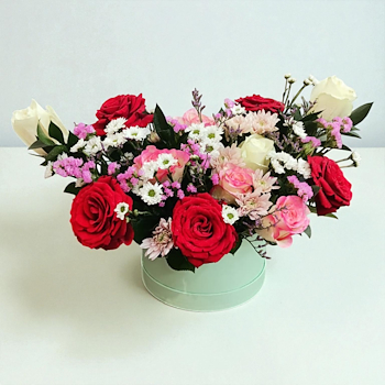 صندوق قبعة حديقة روبي