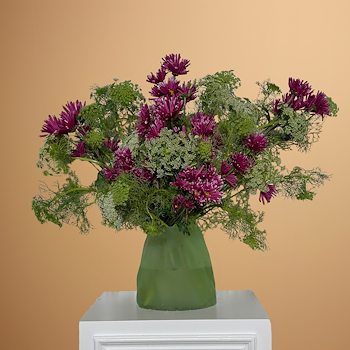 فن أمي ماجوس