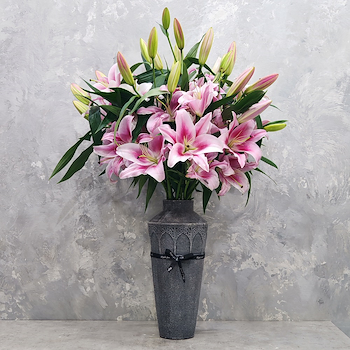 بينك ماتشورا