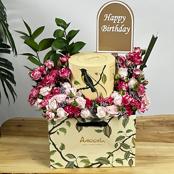 انوش الميلاد