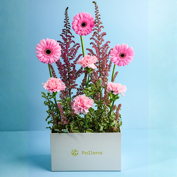 Pink Gerbera Box