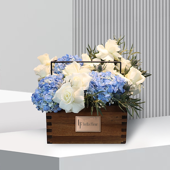 تاليا ليكوود متوسطة