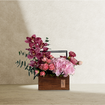 لينيا ليكودووك الصغيرة