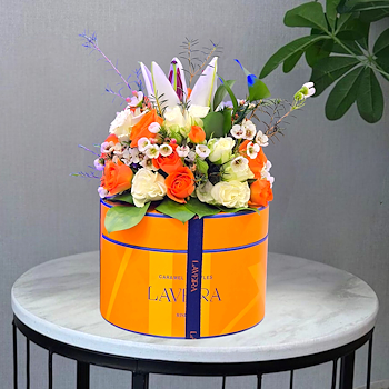 Chocolate Laveran Coordination