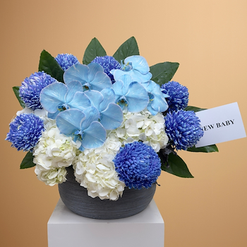 أنا أحب الأزرق