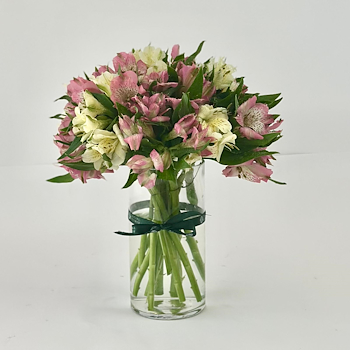 فلوليس وايت 3