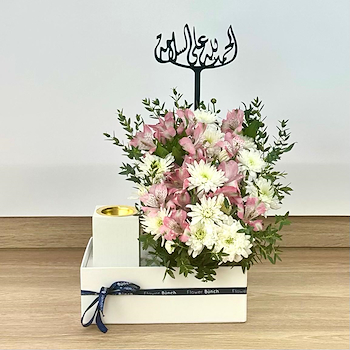 وندر بوكس 29