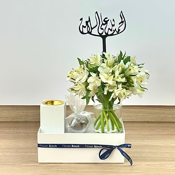 وندر بوكس 33