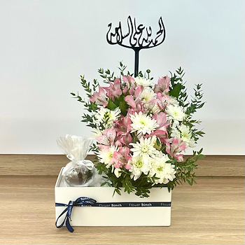 وندر بوكس 36