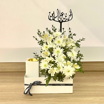 وندر بوكس 37