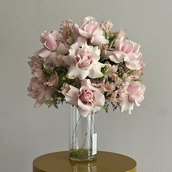 بلش هارموني