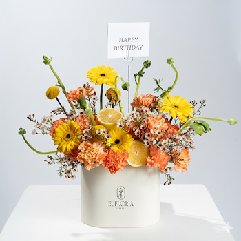 علبة ميني سيترس