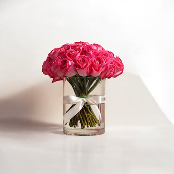 الجوري الفوشيا النابضة