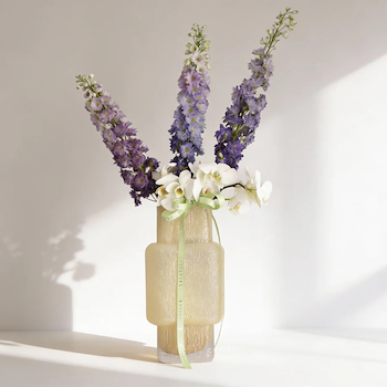 الفجر الملكي