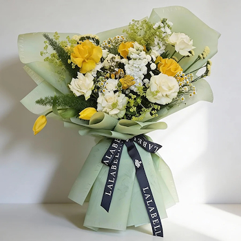 شمس ومريمية