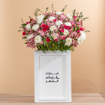 ستاند مذهل 19