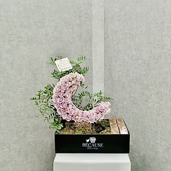 نعمة ضوء القمر 2