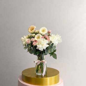 جريس ان بيوتي 