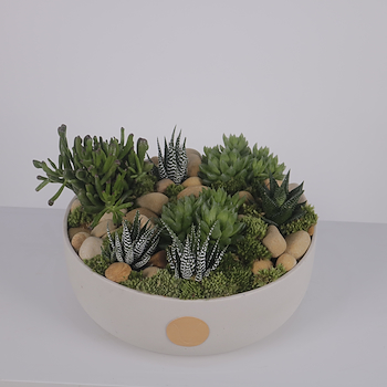 Zen Garden Bowl