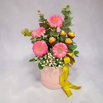 صندوق زهور الجربيرا