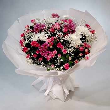 تباين قرمزي منتصف الليل