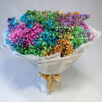 مجلة بوهيميان بلوسوم